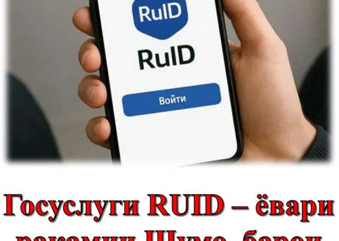 Госуслуги RUID – ёвари рақамии шумо барои оғози сафар ба Россия