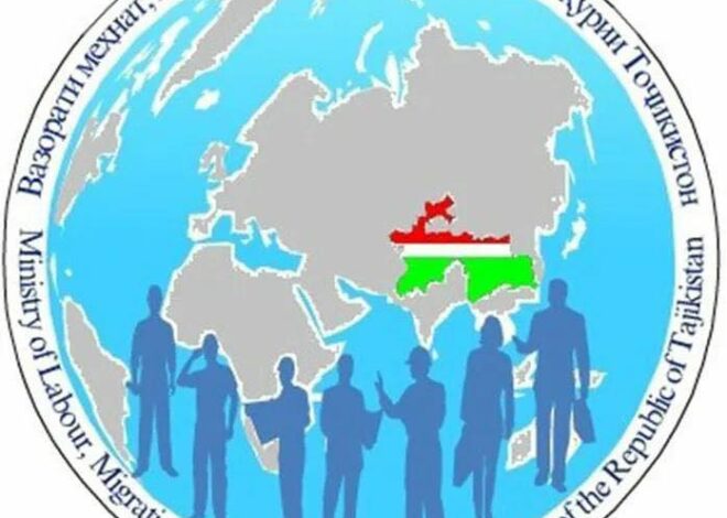 Мулоқот бо муовини директори ширкати “Петромакс”